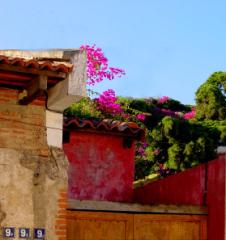 Street Scenes, Antigua, Guatemala